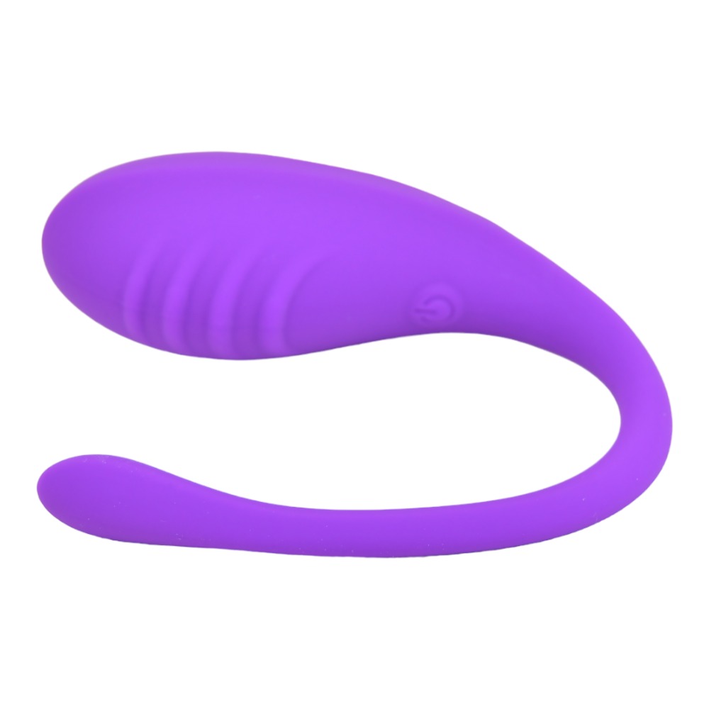 Loving Joy Remote Controlled Love Egg Vibrator - Image 5